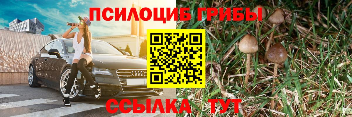 Псилоцибиновые грибы Cubensis Зеленодольск
