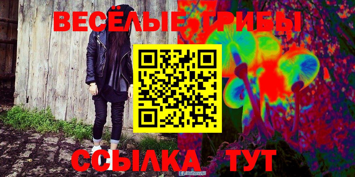 Псилоцибиновые грибы Psilocybe  Псилоцибиновые грибы GOLDEN TEACHER  Зеленодольск  Вход с VPN 